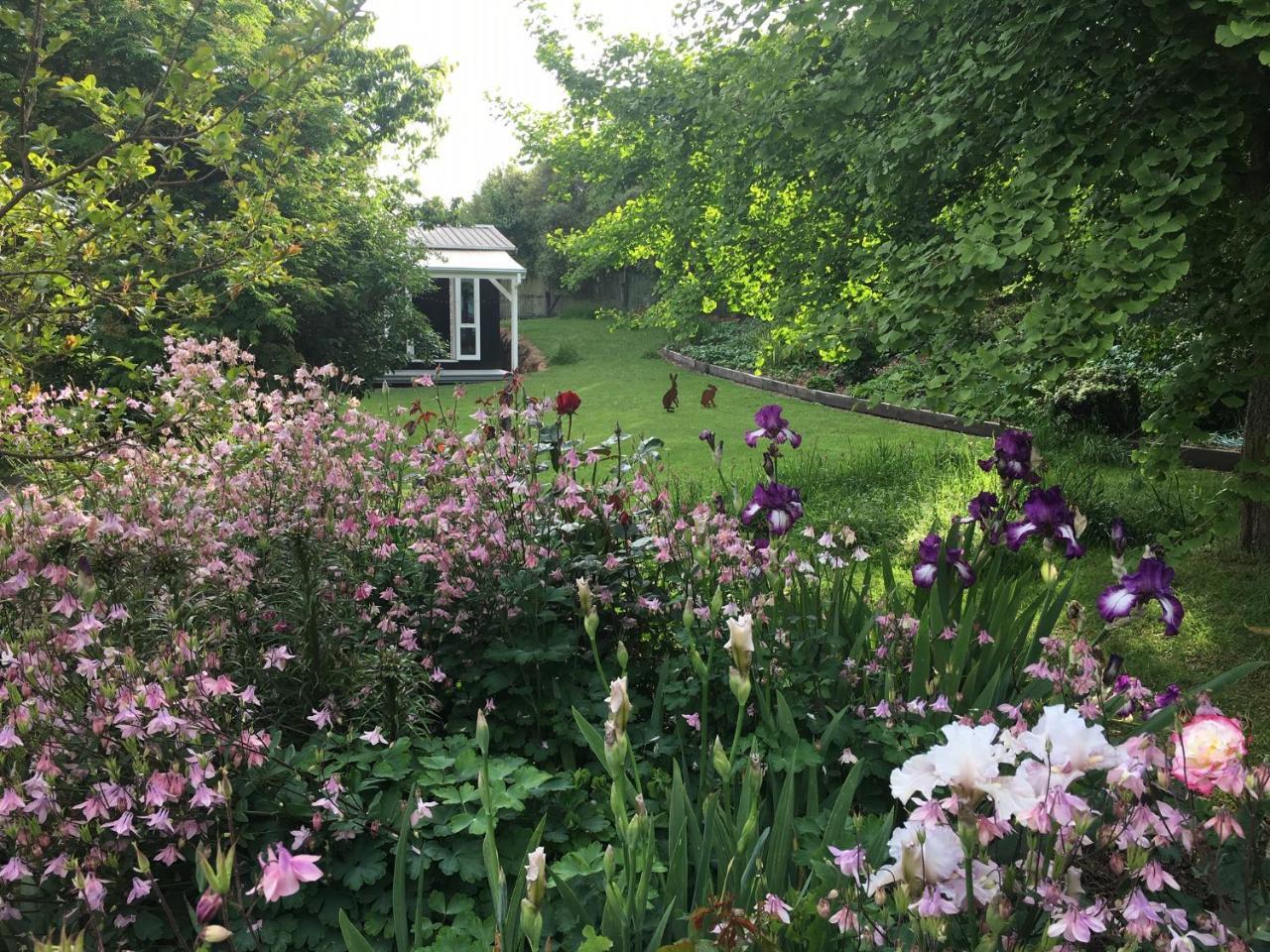 The Homestead 陶波 外观 照片
